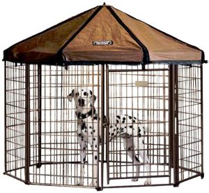 outdoor dog kennel ideas | best outdoor dog kennel