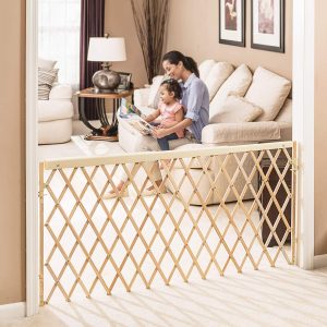 Evenflo Expansion Walk Thru Room Divider Gate