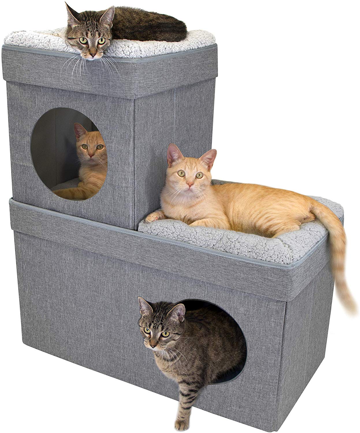 Top 12 Best Indoor and Outdoor Cat Houses in 2024 Bestlist