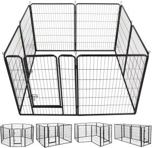 large outdoor dog kennel and run