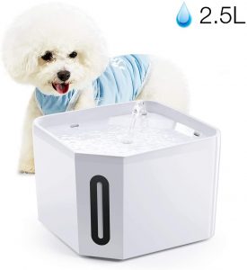 dog water dispenser