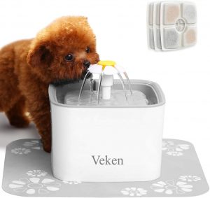 automatic dog water fountain