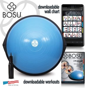 Bosu Indo Balance Board 