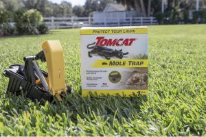 Tomcat Mole Trap 